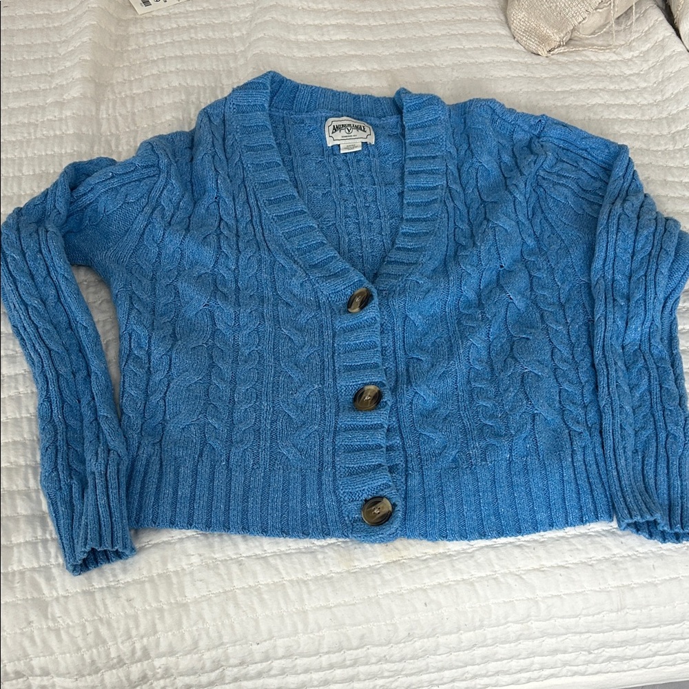 American Eagle Outfitters Blue Button-Up Cardigan